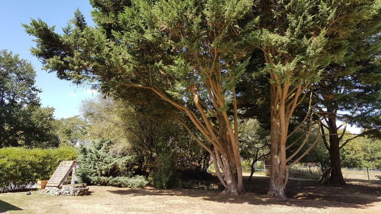 Au Clos Du Coteau, Chambres D'Hotes Crotelles Bagian luar foto